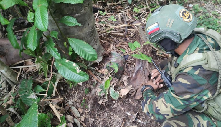 La Fanb localiza dos campamentos de supuestos terroristas colombianos en Apure