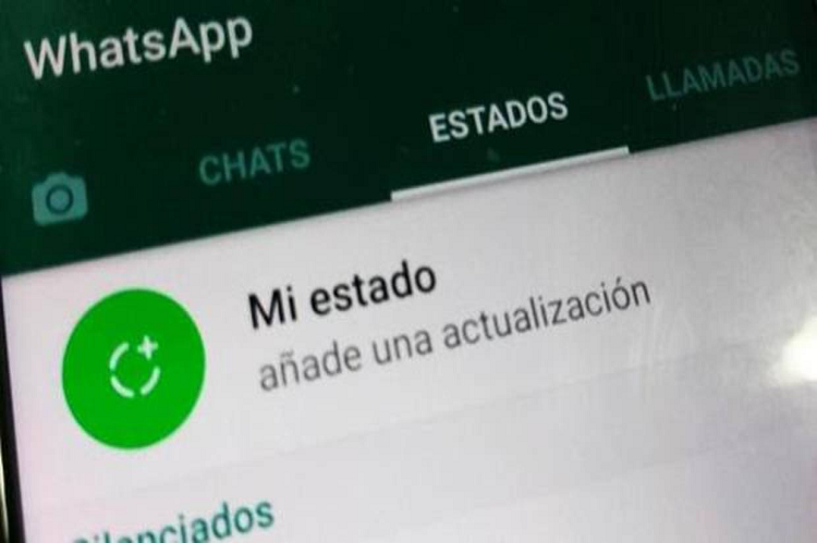 WhatsApp trabaja en un indicador de respuesta a las actualizaciones de estado de los usuarios