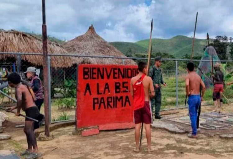 Julio Ygarza: A dos meses de la masacre en Parima B en Amazonas no se ha hecho justicia