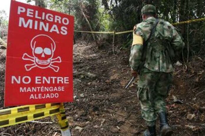 Ingenieros militares colombianos entrenarán soldados ucranianos en operaciones de desminado