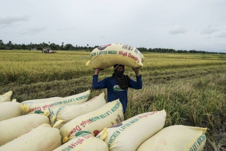 Invasión rusa de Ucrania abre carrera por fertilizantes en América Latina