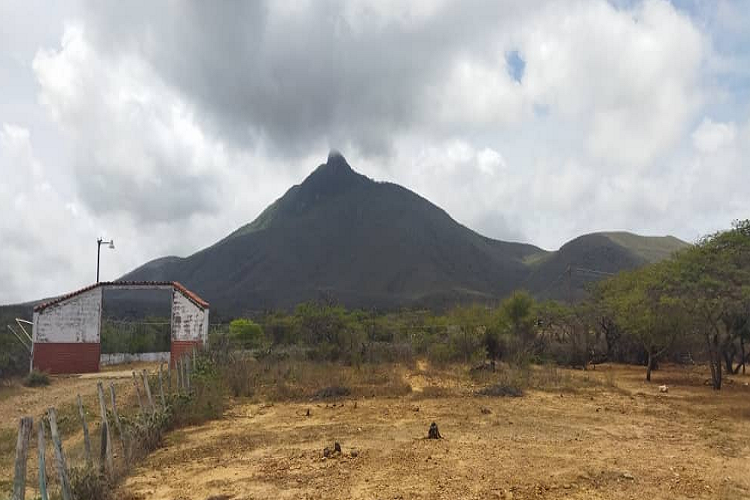Cerro Santa Ana celebra 50 años de su declaración como Monumento Natural