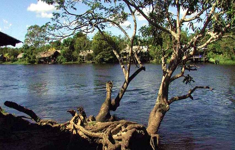 Los tres tripulantes desaparecidos en el río Orinoco fueron hallados sin vida