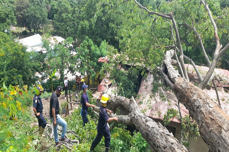 Otra tragedia para la mamá de la bebé raptada: Cayó un tronco en el techo de su casa en Los Guayos