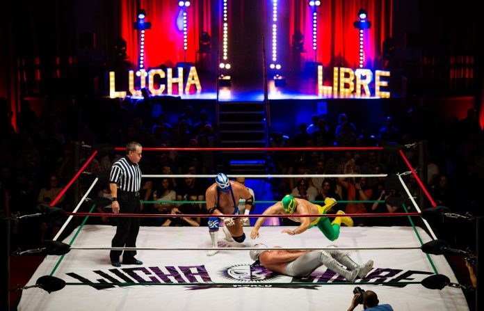 Luchador golpea a un fanático en pleno combate (+Video)