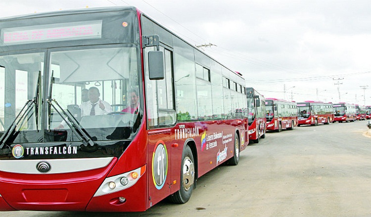 Transfalcón cuenta con 43 rutas activas en el estado