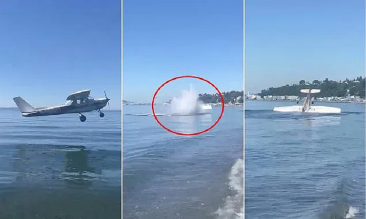 Video| Avioneta se estrelló en una playa de Seattle