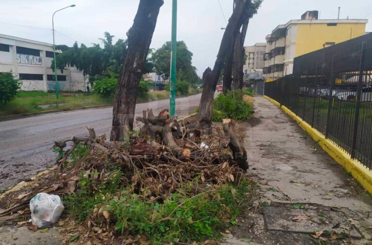 Fuertes lluvias causan afectaciones  en Barquisimeto