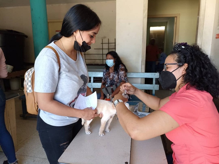 Distrito sanitario Punto Fijo realiza jornada de desparasitación de mascotas