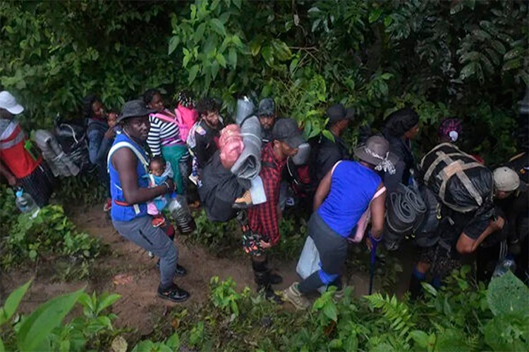 Smolansky: Cuatro migrantes venezolanos murieron la última semana en la selva del Darién