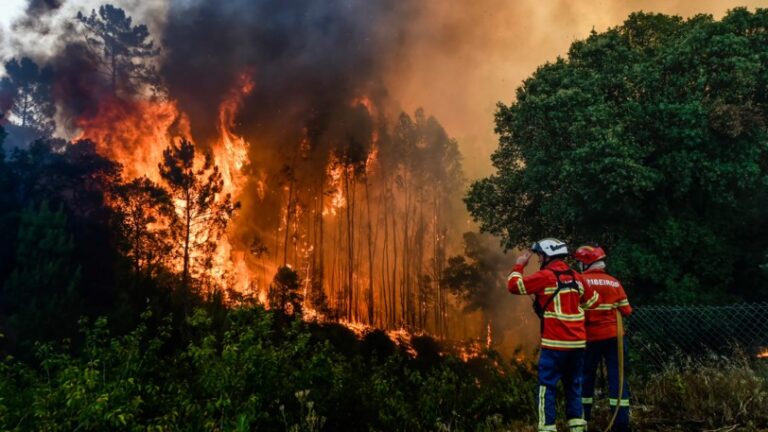 Muere un bombero en España luchando contra un incendio forestal