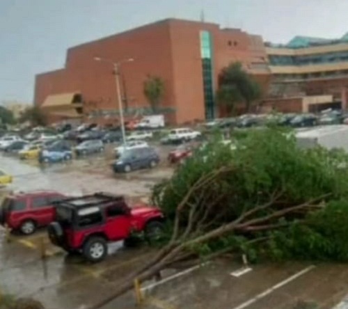 Fuertes vientos derriban árboles y vallas publicitarias en Lechería