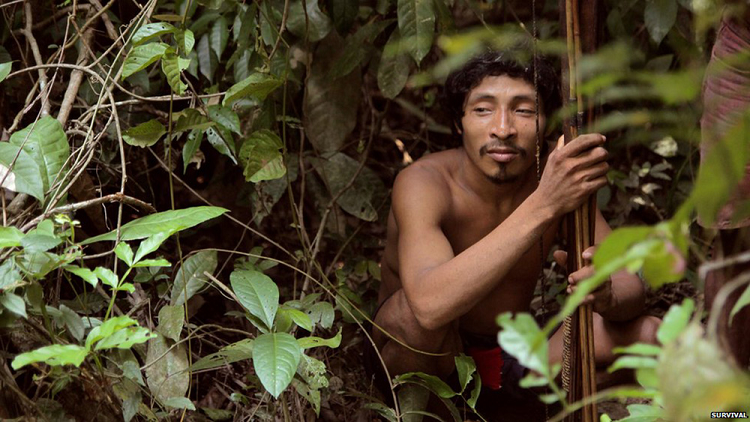 Murió el indígena aislado conocido como el hombre “más solitario del mundo”