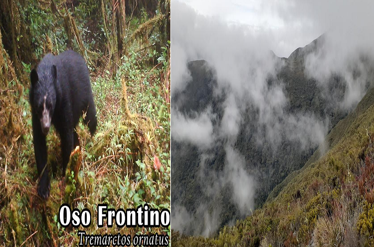 Primer aniversario del Parque nacional Doctor José Gregorio Hernández (Ramal de Calderas)