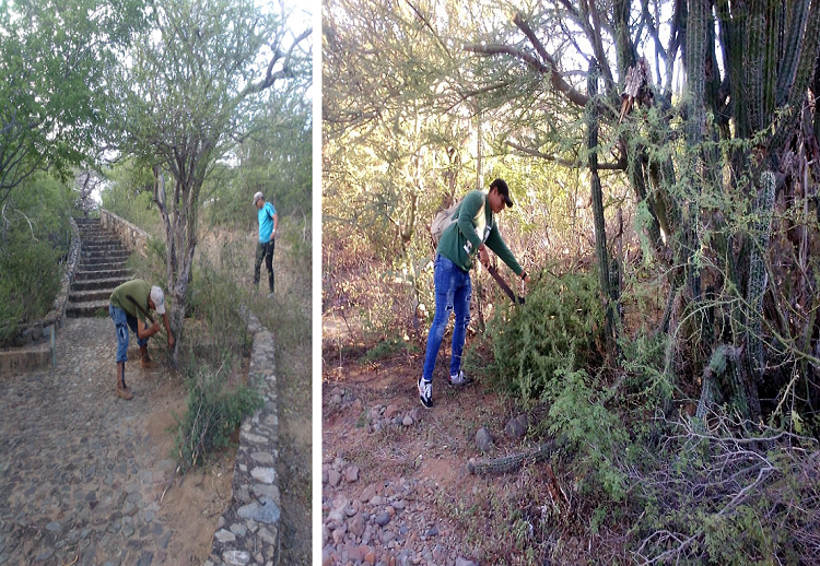 Guardapaques realizan jornada de limpieza para recibir a  visitantes en el Cerro Santa Ana