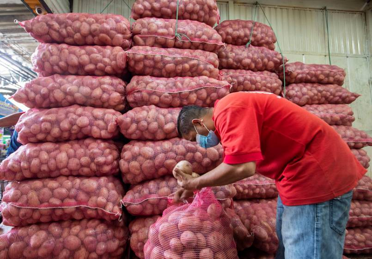 Confepapa: Un millón de empleos del campo en riesgo por contrabando desde Colombia