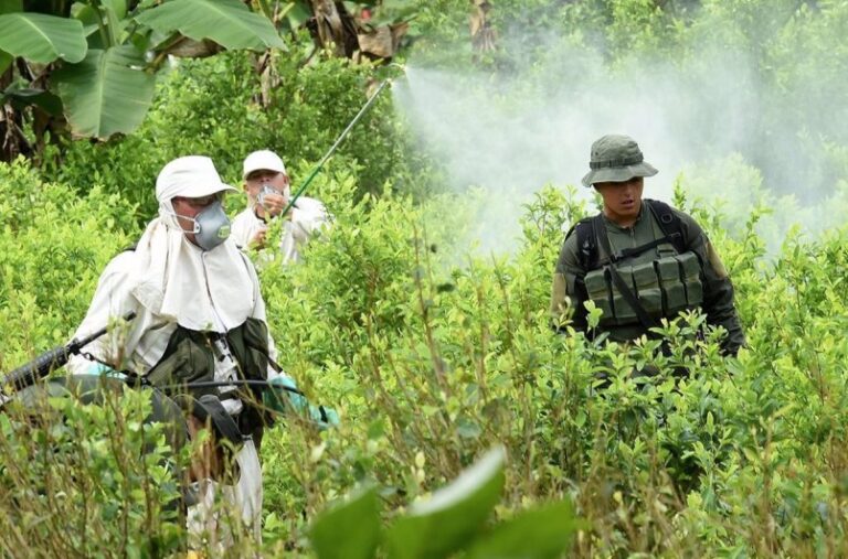 Estados Unidos extiende ayuda a Colombia para combatir el narcotráfico