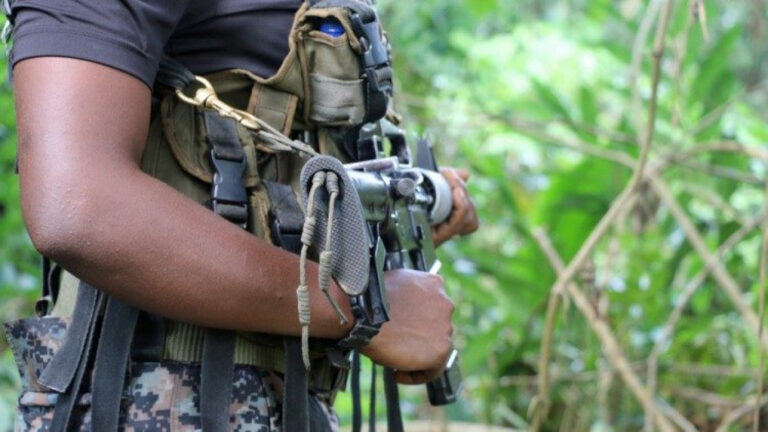 Avanzada presidencial de Gustavo Petro fue recibida a disparos en la frontera entre Colombia y Venezuela
