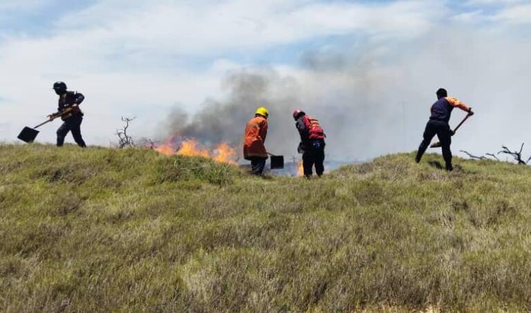 Protección Civil atendió dos incendios forestales el fin de semana en Paraguaná