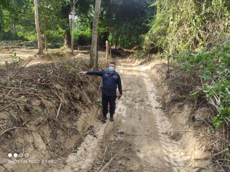 Minec detiene ecocidio en Trujillo: Deforestación ilegal por evento de “rustiqueo” fue neutralizado