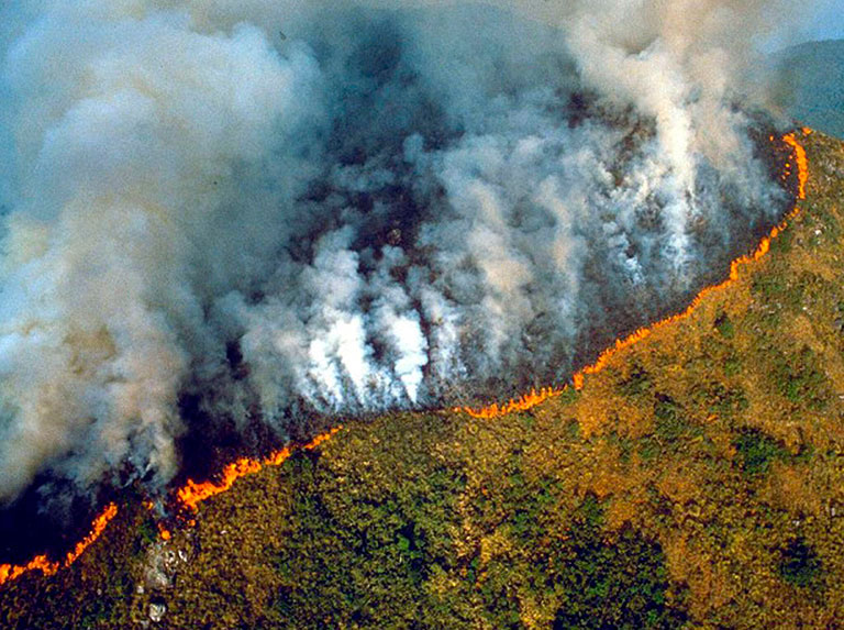 Los incendios en la Amazonia brasileña crecen un 7,9 % en julio