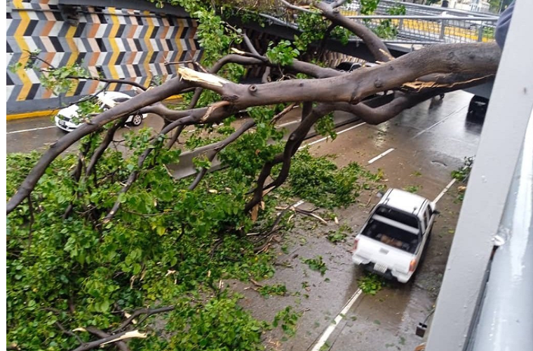Caracas: Puentes y carreteras colapsadas por lluvias (+Estados)